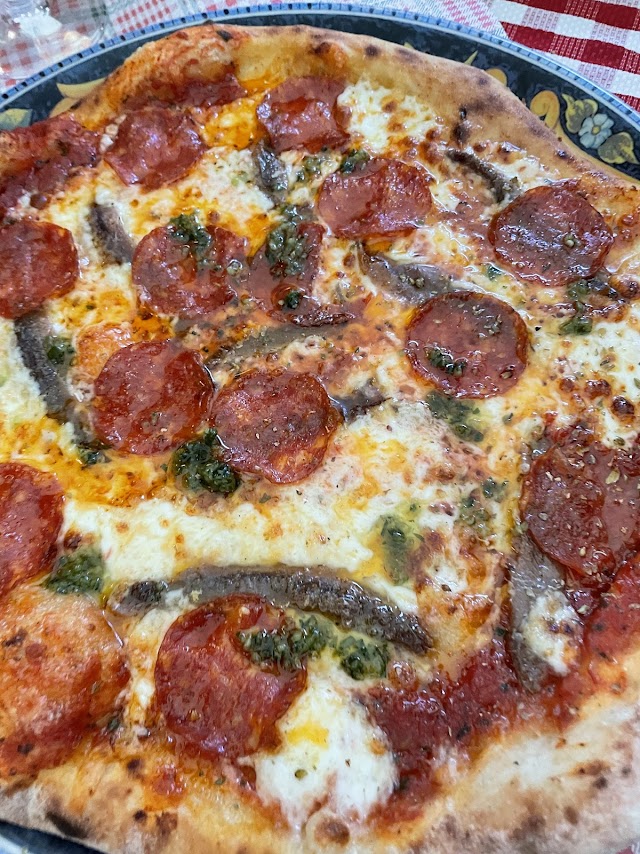 Wood-fired pizza with spicy salami and anchovies